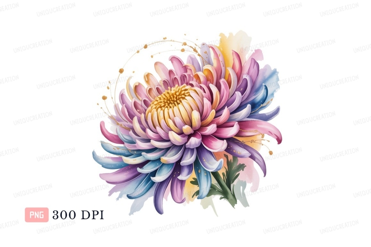 Feathers Clipart Image 15