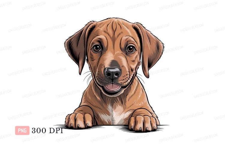 Brown puppy peeking over edge black ears