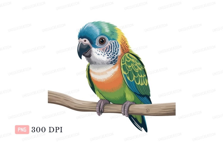 Tropical Clipart Image 13