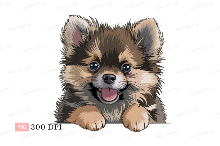 Pomeranian Clipart Image 15