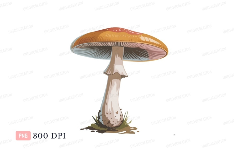 Toad Clipart Image 18