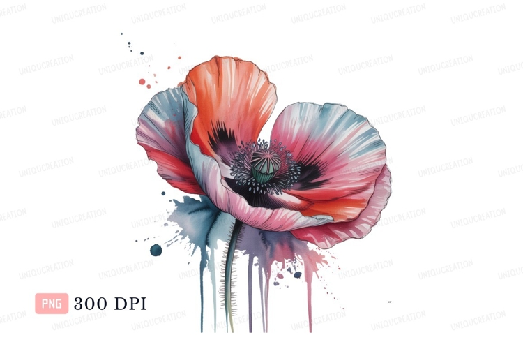 Poppy Clipart Image 18