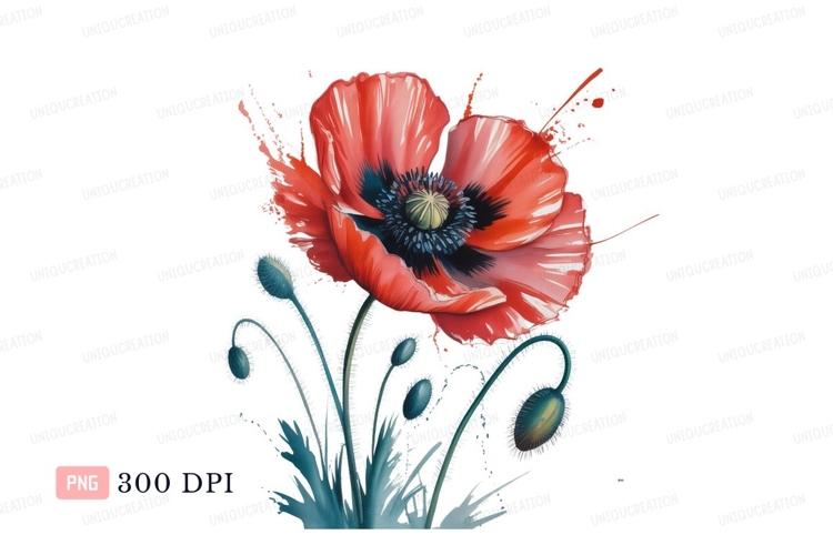 Poppy Clipart Image 17