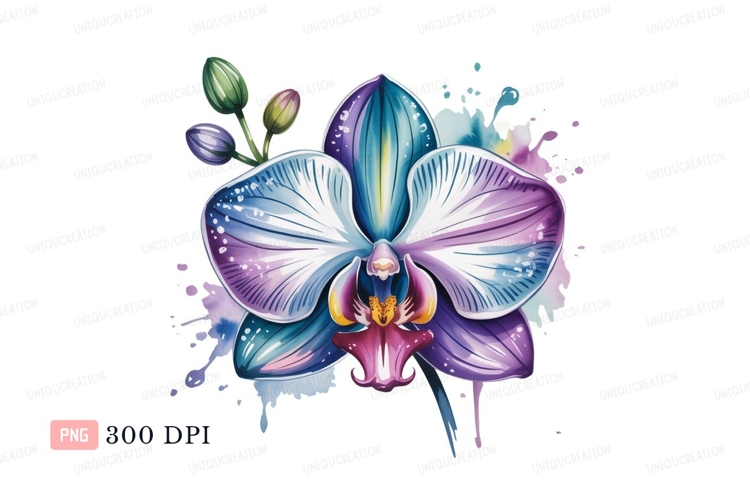 Orchid Clipart Image 2