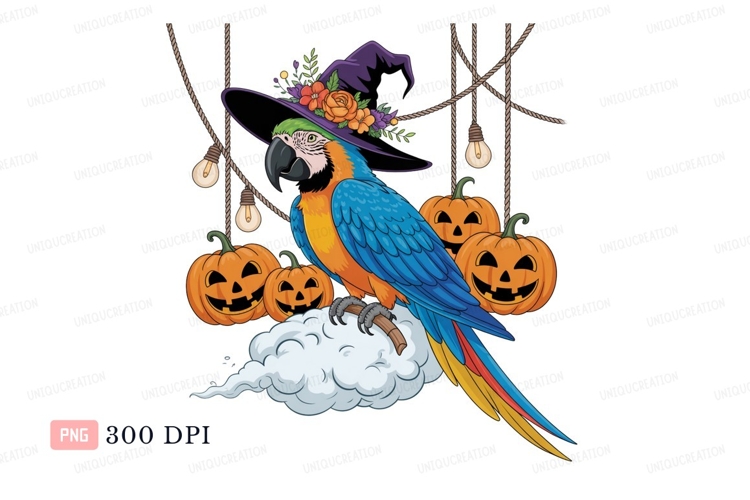 Macaw Clipart