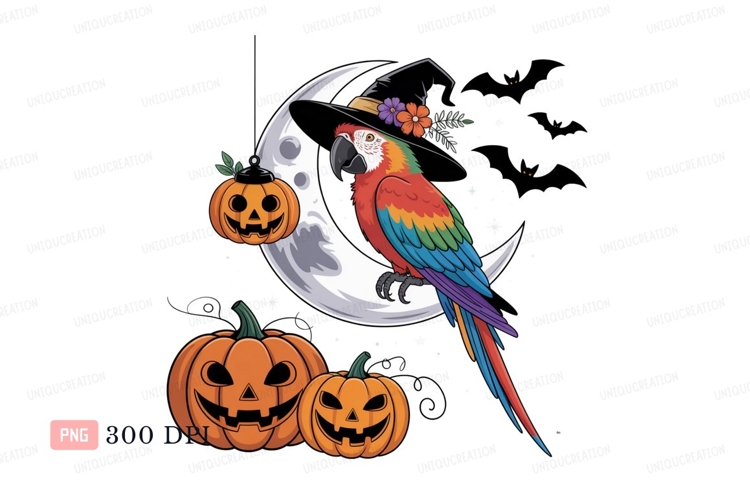 Macaw Clipart