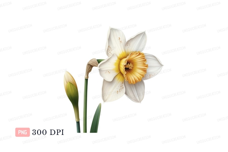 Flower Stem Clipart Image 24