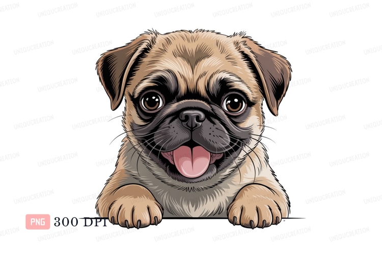 Adorable pug puppy peeking over animal canine