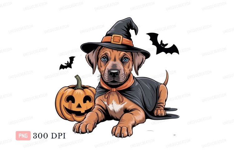 Adorable puppy witch with jack o lantern cape