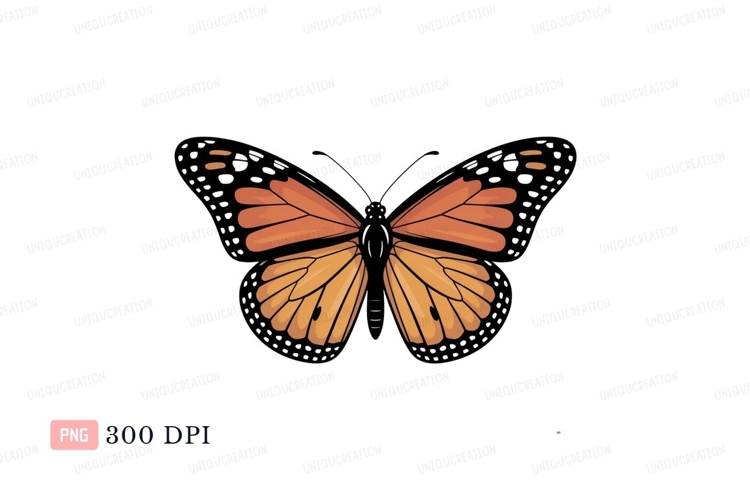 Insect Clipart Image 2