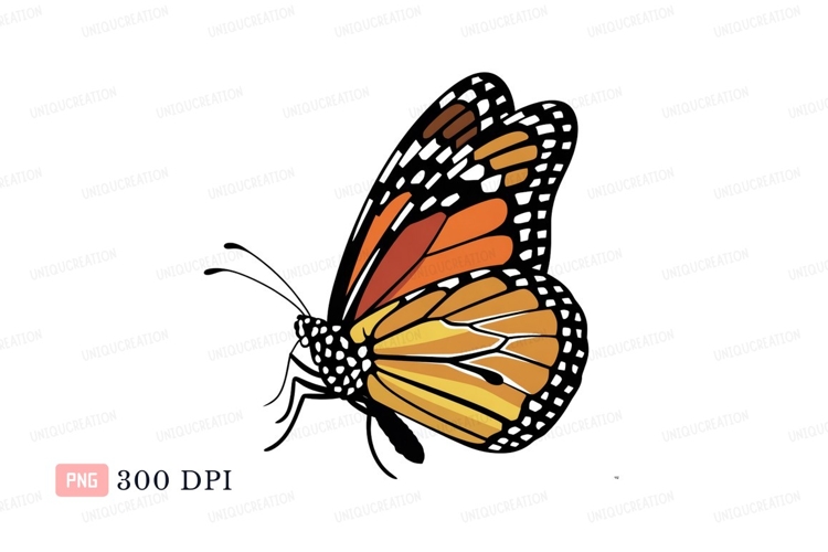 Insect Clipart Image 9