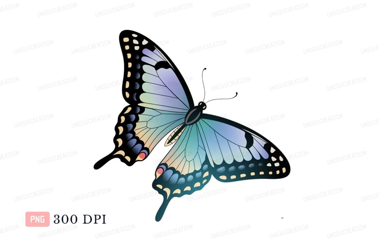 Insect Clipart Image 8