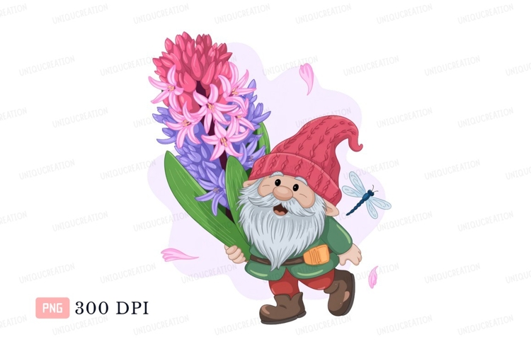 Gnome holding pink purple hyacinth dragonfly flower