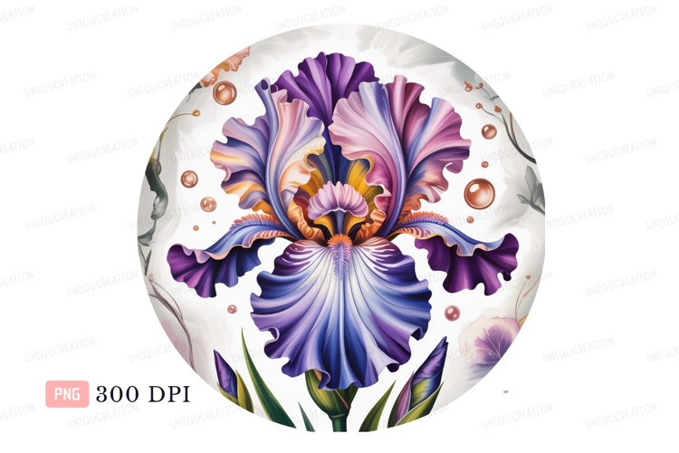 Iris Clipart Image 12