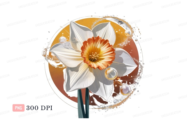 Daffodil Clipart Image 7