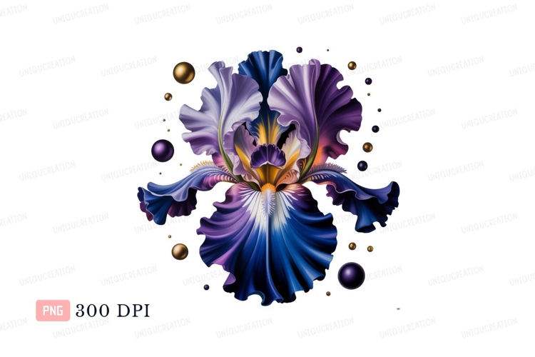 Iris Clipart Image 7