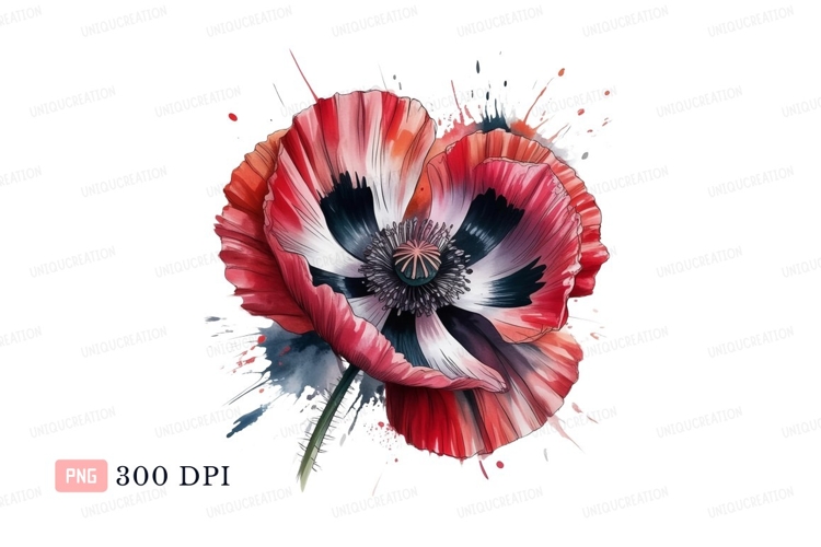Poppy Clipart Image 21