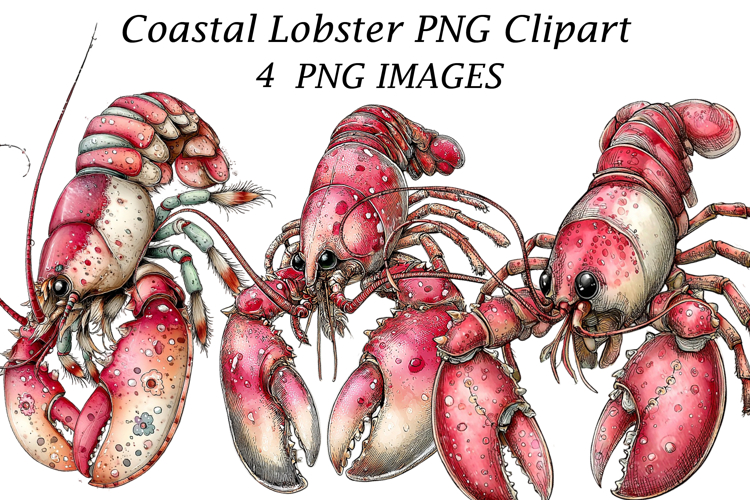 Coastal Lobster PNG Clipart