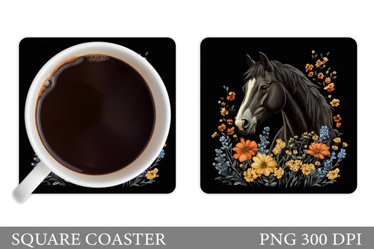 Cute Horse Pictures Image 24