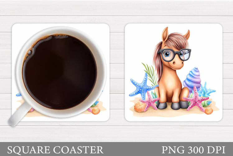 Cute Horse Pictures Image 6