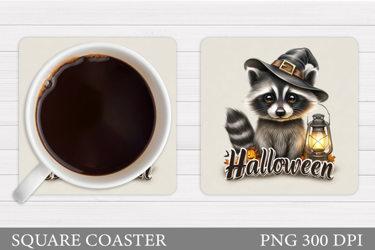 Raccoon Clipart Image 22
