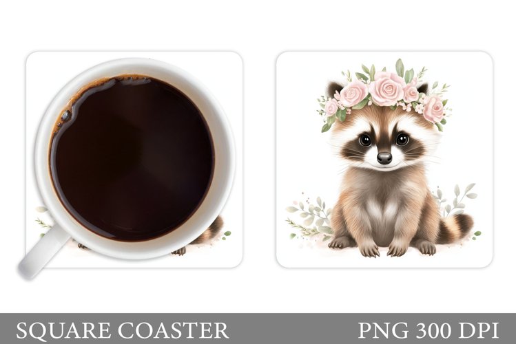 Raccoon Clipart Image 4