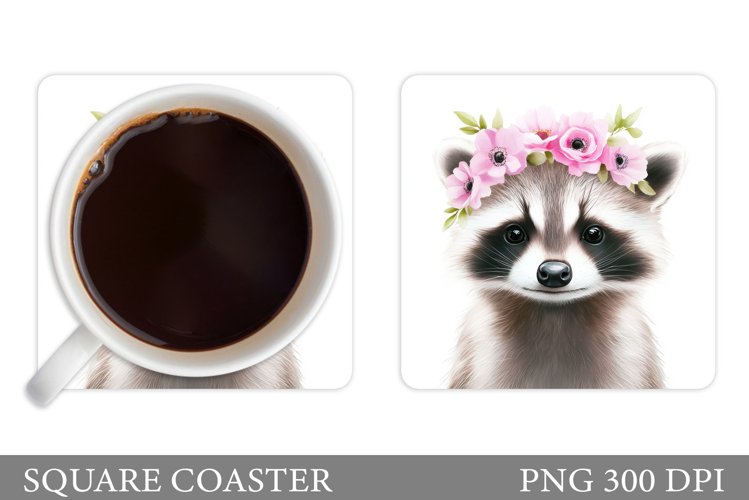 Raccoon Clipart Image 22