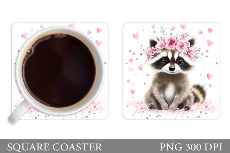 Raccoon Clipart Image 21