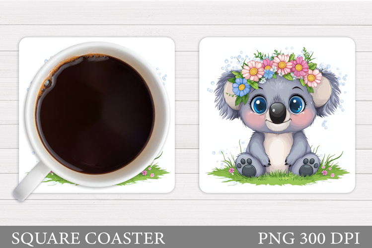 Cute Koala Pictures Image 11
