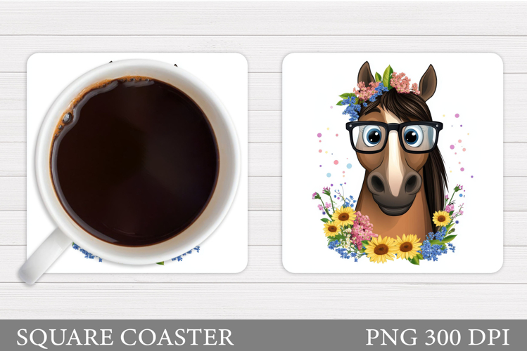 Cute Horse Pictures Image 18