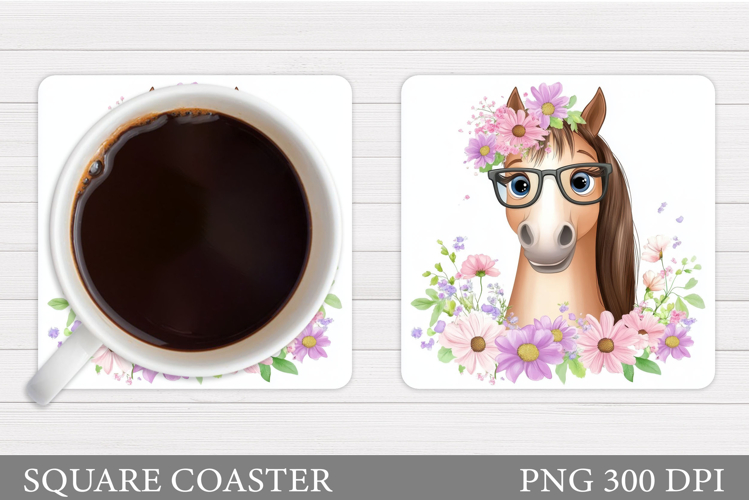 Cute Horse Pictures Image 17