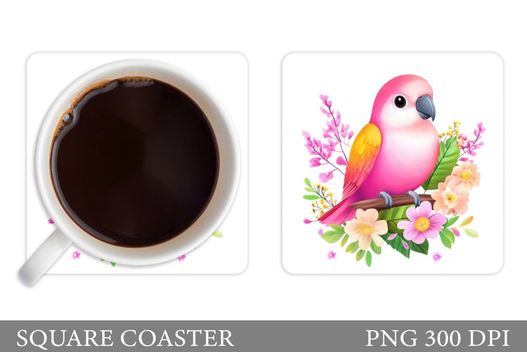 Parrot Clipart Image 24