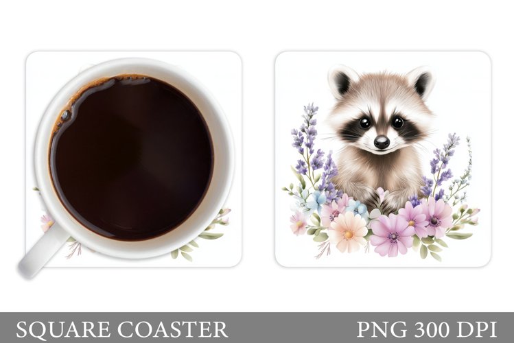 Raccoon Clipart Image 11