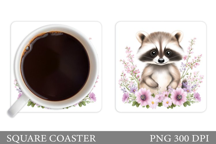 Raccoon Clipart Image 12
