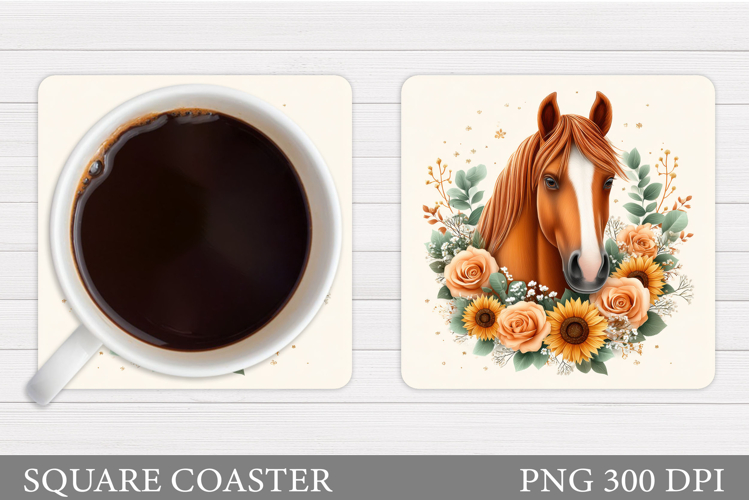 Cute Horse Pictures Image 9