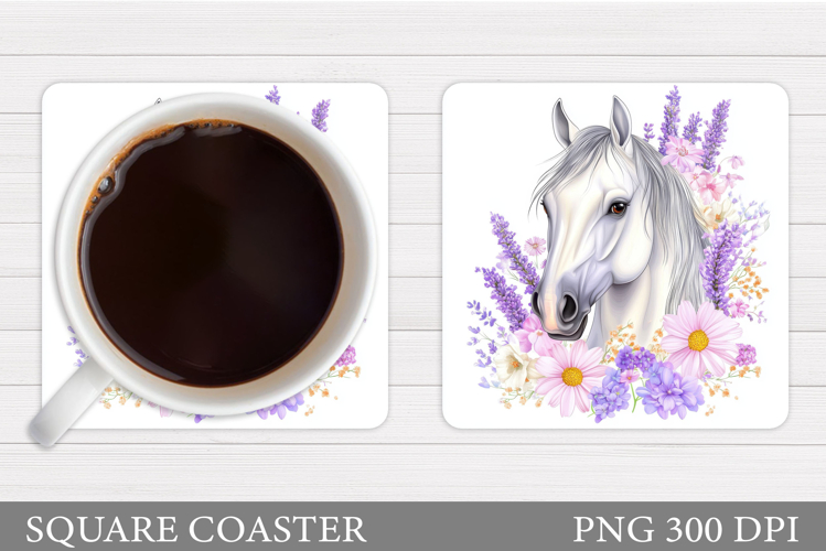 Cute Horse Pictures Image 15