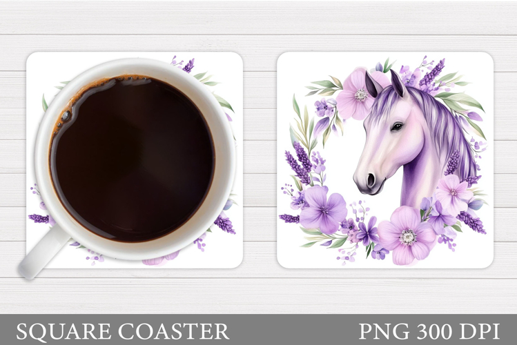 Cute Horse Pictures Image 13
