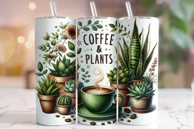 Succulents Png