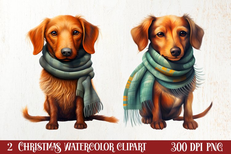 Cold Weather Dogs Sublimation Clipart, Christmas PNG