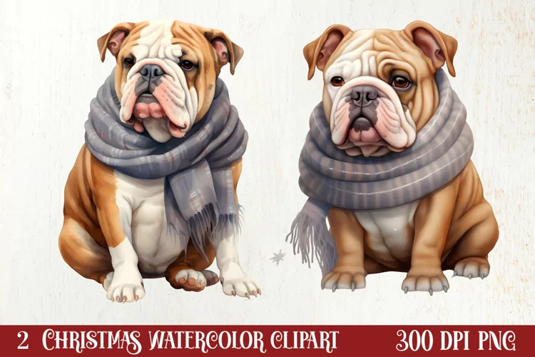 Cold Weather Dogs Sublimation Clipart, Christmas PNG