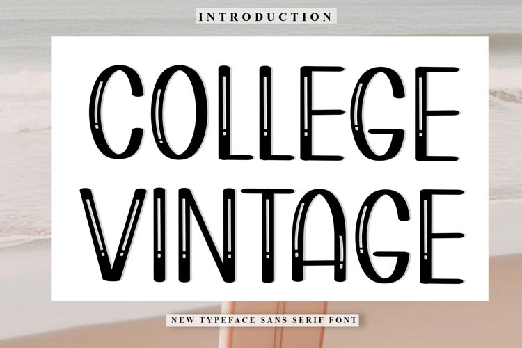 Luxury Font Image 17