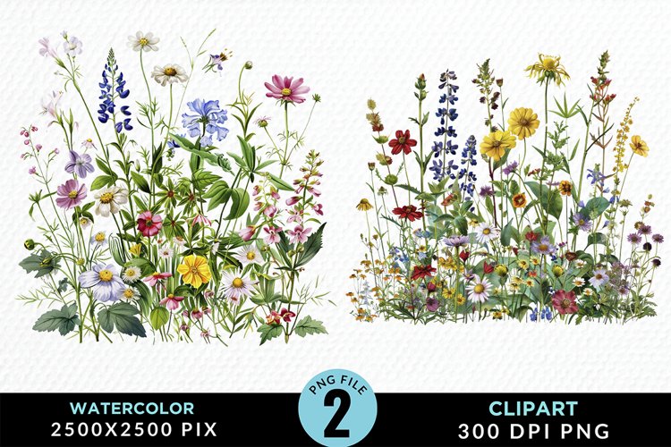 Flowers Graphic Image 4