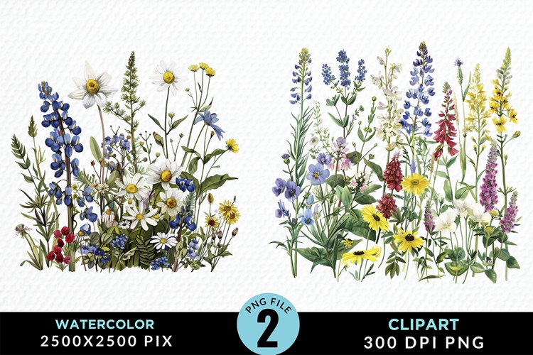 Flowers Graphic