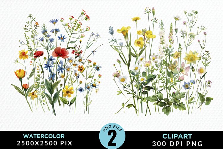 Colorful Nord Wildflowers Graphic Clipart