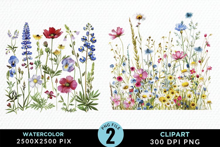 Colorful Nord Wildflowers PNG Set Clipart