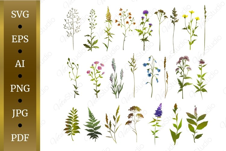 Set of colorful meadow herbs. Wildflowers. SVG. EPS.
