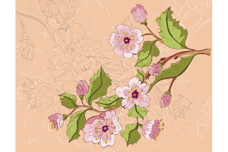 Cherry Blossom Vector Image 9