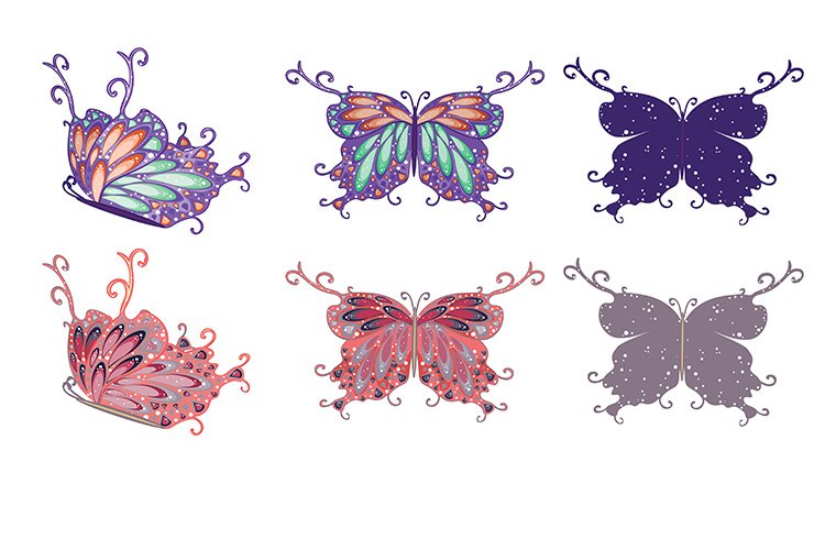 Insect Illustration Image 9