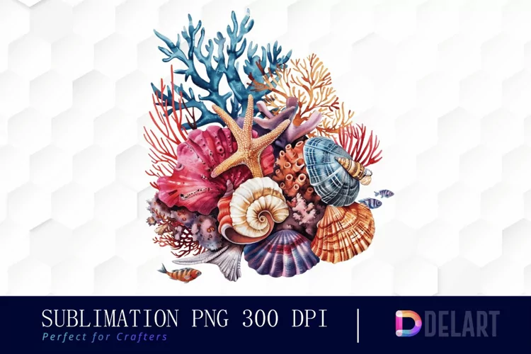 Colorful Coral Reef Sea Shell Graphics Clipart