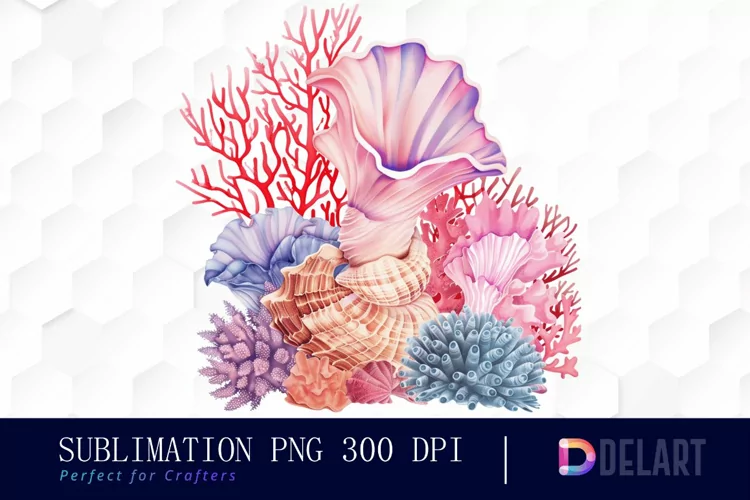 Colorful Coral Reef Sea Shell Graphics Clipart